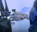 How AI Is Transforming Business Operations Perspectives From Karina and Zeeshan Hayat